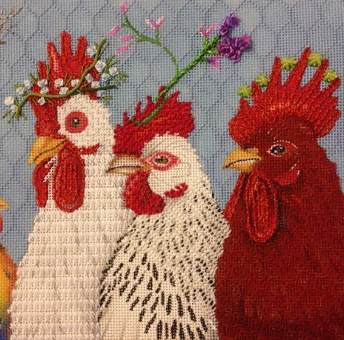 Hello from Virginia close up birds