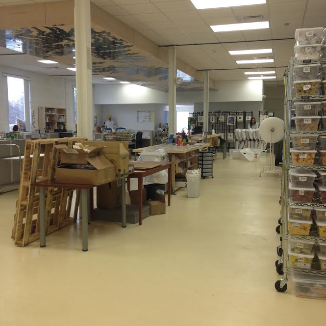 Behind the Scenes at Elizabeth Bradley Needlepoint