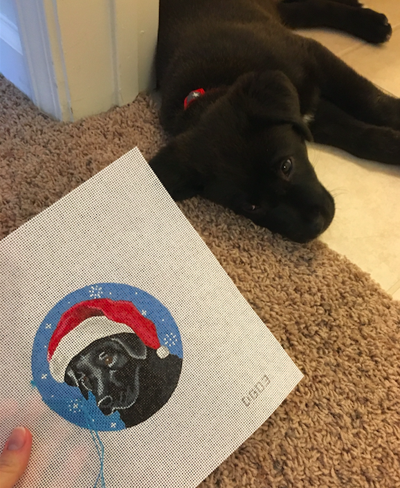 Charlie's Christmas Ornament